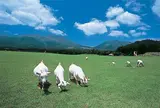 月廻り温泉