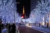 六本木ヒルズ