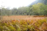 上高地 5