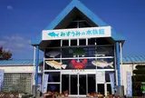 さかなの館　アクア東条