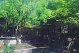 GARDEN HOUSE