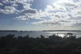 てくてく歩いて双観山へ
