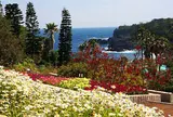 伊豆四季の花公園