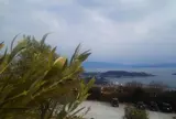 牛窓オリーブ園