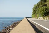 越前・河野しおかぜライン
