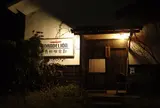 ダンデライオン