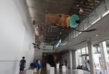 越後妻有里山現代美術館キナーレ