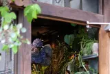 デジャヴ