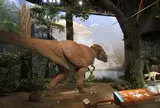 ミュージアムパーク茨城県自然博物館