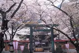 金崎宮