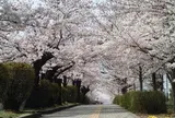 城山公園