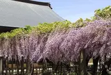 妙福寺