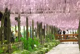 天王川公園