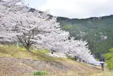 桑野山の堤防