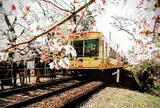 鳴滝駅
