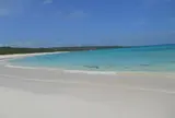 渡口の浜