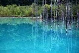 青い池