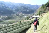 九州オルレ　高千穂コースガイド付き散策