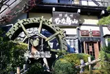 ひな鳥山