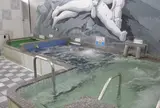 パブリバ八光