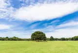 国営昭和記念公園