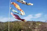 [観光・食事]花見山公園