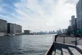 豊海運動公園