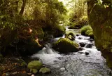 山吹水源