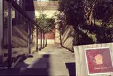 ダンディゾン