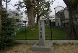 茨田堤