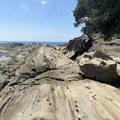 竜串海岸の写真_1029130