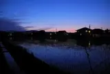 青い田園と伊吹山