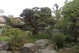 こもれど淡路