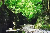 奈良子釣りセンター