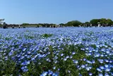 海の中道海浜公園