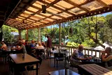 Frogs Restaurant Kuranda