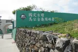 馬公金亀頭砲台文化園区