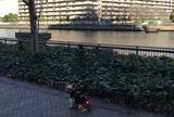 廃止鉄道の遺構・豊洲橋梁