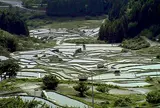 四谷千枚田