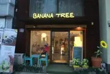 banana tree