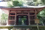花の寺②「小塩山 大原院勝持寺（しょうじじ）」