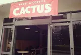 LITTLE CACTUS