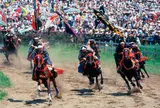 甲冑競馬