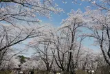 蓼科山 聖光寺