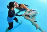 水中リラクゼーションWATSで魚になる宇宙空間⁉