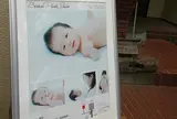 ベルニーニフォトスタジオ