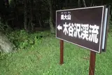 木谷沢渓流
