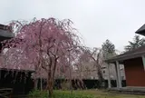 角館武家屋敷