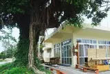 がじゅまる家