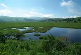 八島ヶ原湿原